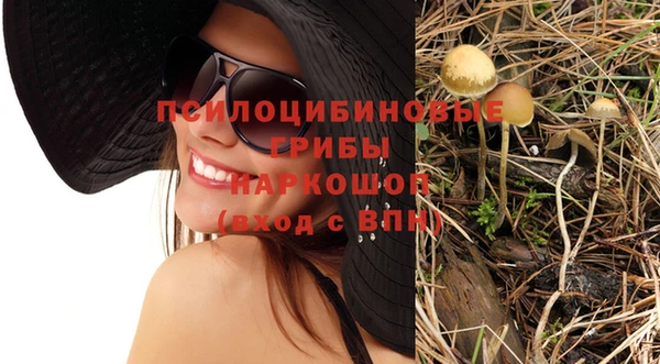 таблы Алзамай