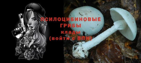 герыч Арсеньев
